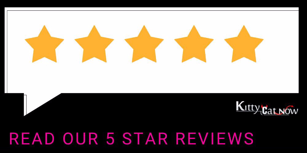 Kitty Cat Now Reviews Kitty Cat Now Reviews
